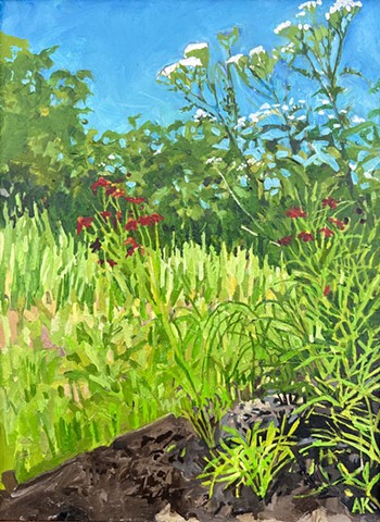 Yarrow and Dyer's Coreopsis 