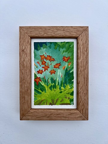 Daylily Color Study