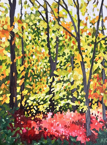 Huckleberry Understory