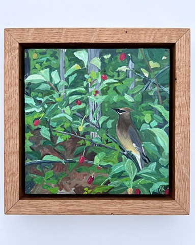Cedar Wax Wing 