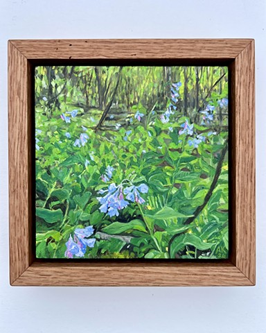 Virginia Bluebells