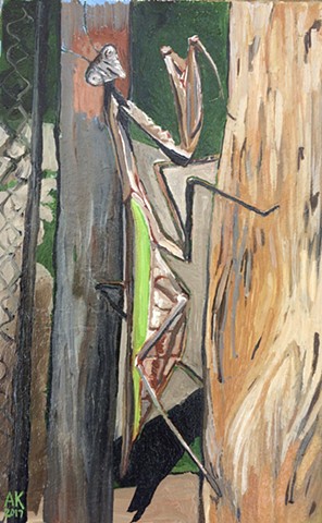 Praying Mantis 
