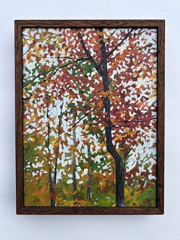 campside Hickory - Rust