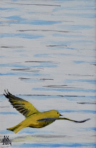 Yellow Warbler in Flight