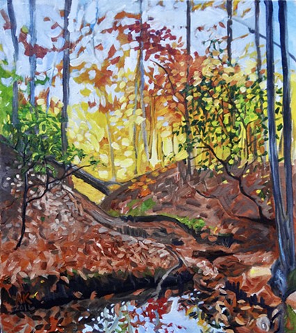 The Bobcat is Watching