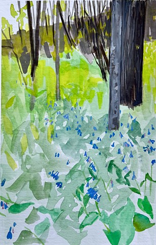 Floodplain Bluebells 