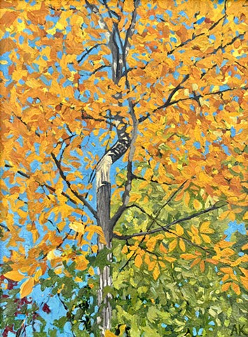 Campside Hickory - Golden