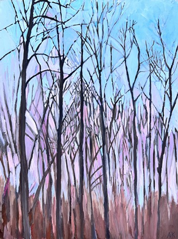 Pink Sky February Sunset 