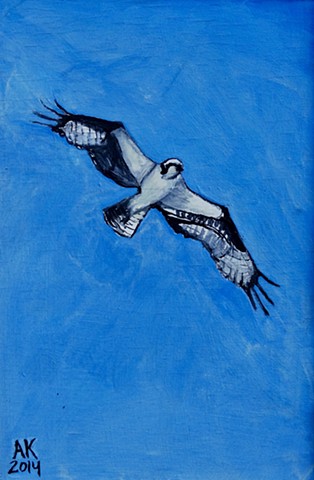 Osprey 4