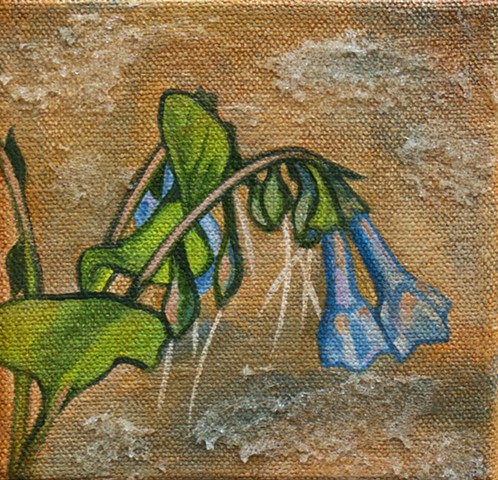 Bluebells Series