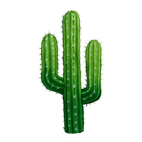 SR Cactus