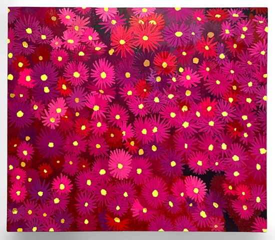 Ice Plant