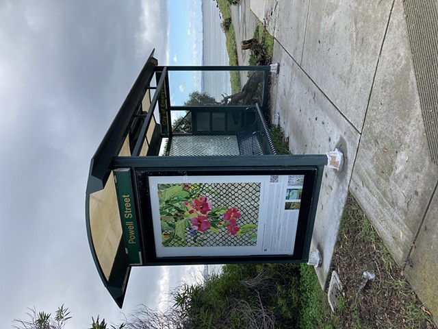 Emeryville Bus Shelter Project 2024