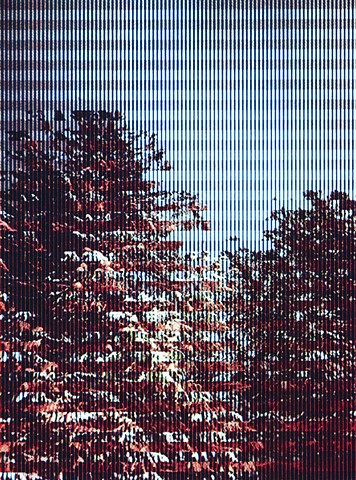 Interference: Trees
