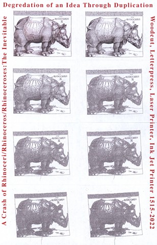 Object 7: A Crash of Rhinoceri/Rhinoceros/Rhinoceroses (Broadsheet)