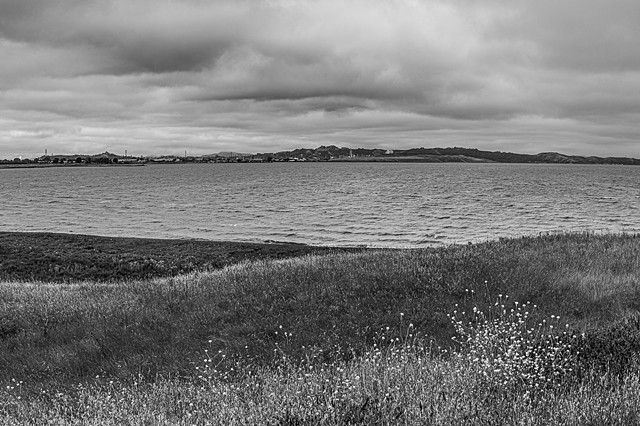 View Towards Refinery and Garbage Mountian, Point Pinole