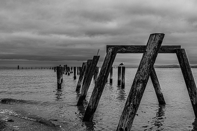 Pier Ruins, Point Pinole