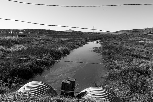 Landfill Loop, Bay Trail, Richmond