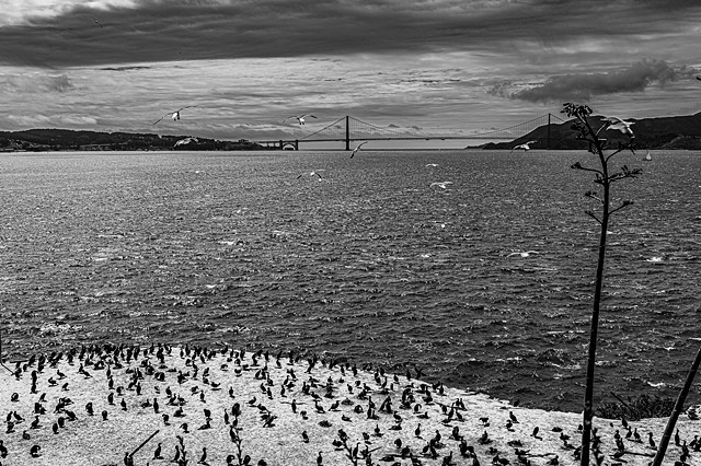 Waterscape (Golden Gate Bridge 2)