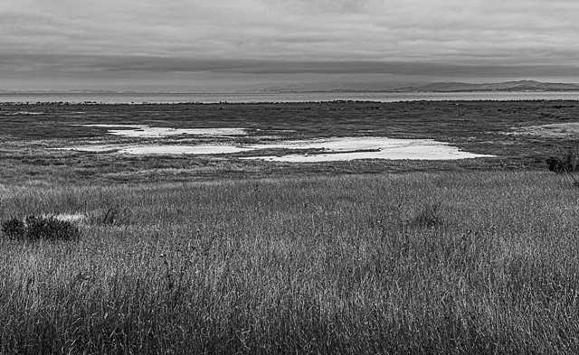 Whittell Marsh, Point Pinole (view towards Hercules refinery)