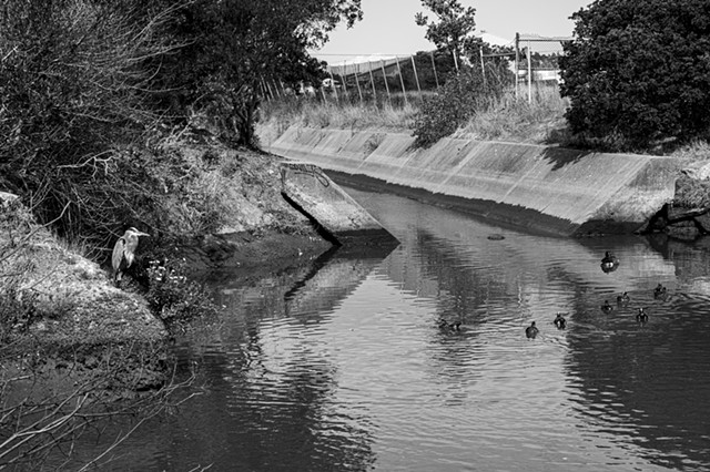 Meeker Slough