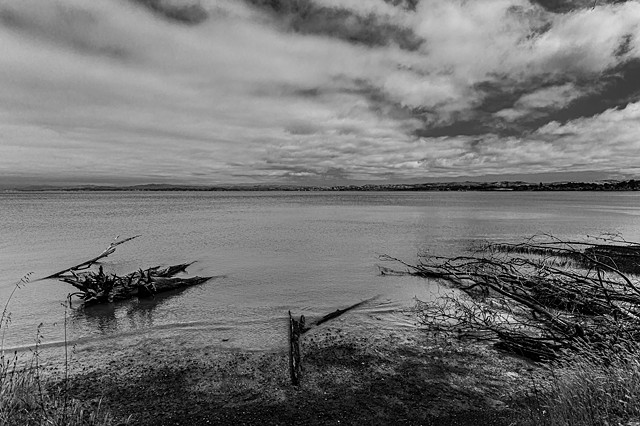 Looking towards the Hercules Refinery from Point Pinole