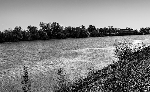 Sacramento River, Hood, Ca, Near Potential Tunnel Intake Site