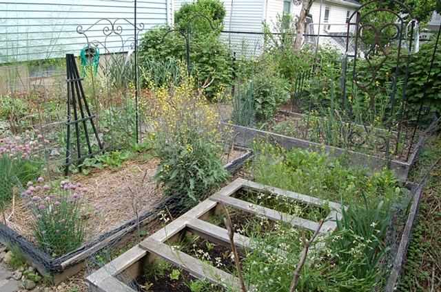 Raised beds