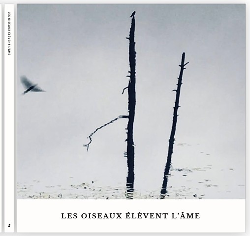 Les oiseaux élèvent l’âme. 
Hardcover photography book.
10x10” 63 pages. 
Signed limited series.
Each individual photos within available. 