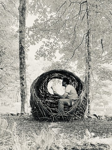 Nesting at The Mount 