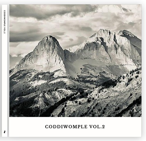 CODDIWOMPLE VOL.2
Hardcover photography book.
8x8” 30 pages. 
Signed limited series.
Each individual photos within available. 