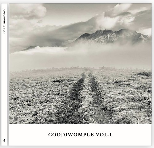 CODDIWOMPLE VOL.1
Hardcover photography book.
8x8” 38 pages.
Signed limited series.
Each individual photos within available. 