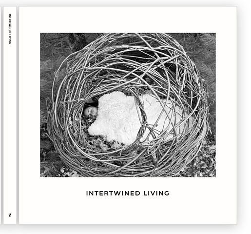 Book: INTERTWINED LIVING
10×10" Layflat  / 40 Pages
Signed limited series.
Each individual photos within available
$180

