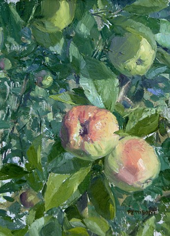 Apples
