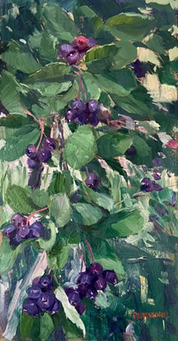 Saskatoon Berries