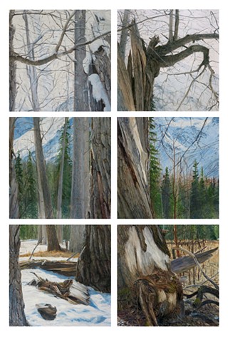 Selected Works From Year With A Tree