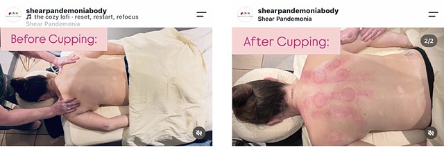 Social Media - Shear Pandemonia Salon