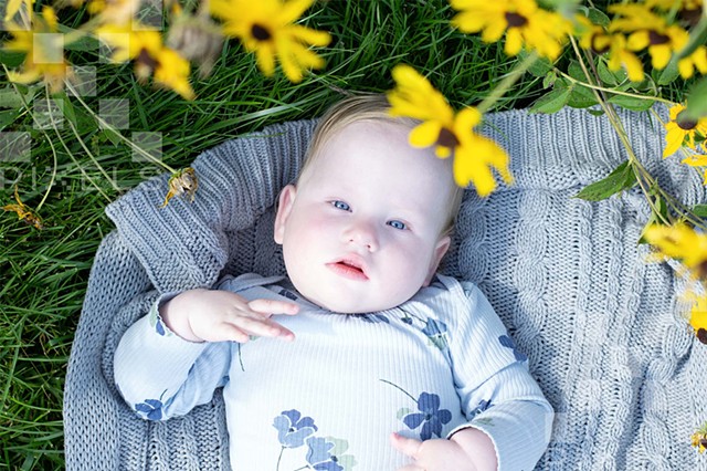 Baby Portrait Session - N