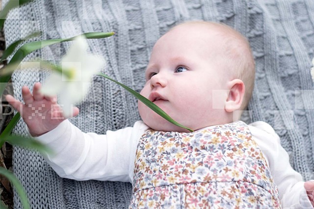 Baby Portrait Session - N