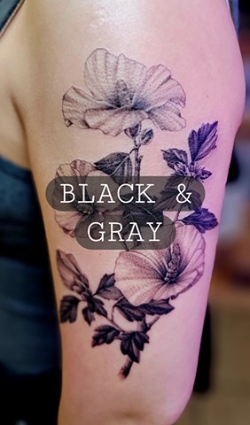 Black & Gray