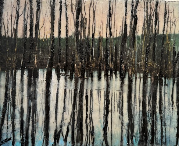 Swamp Reflection