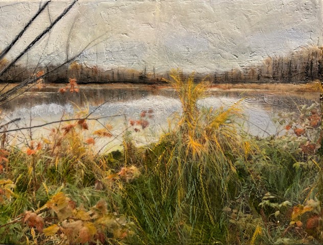 The Beaver Pond