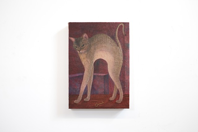 Your Cat