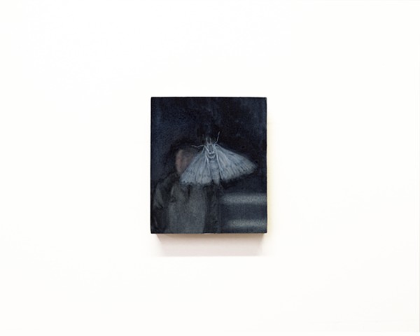 Moth