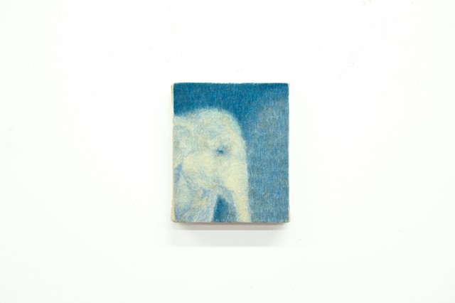 The Elephant Archer 01