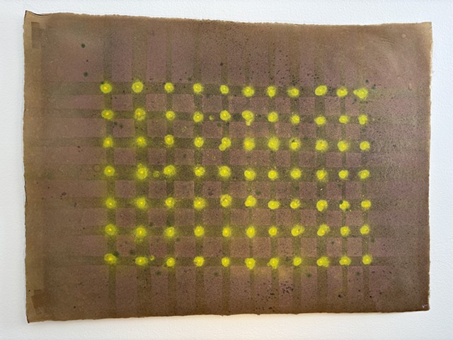 Seedlings
