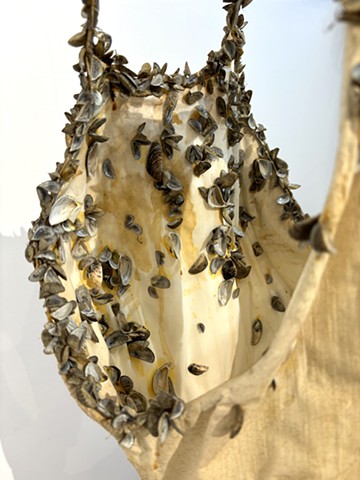 Invasive Detail 