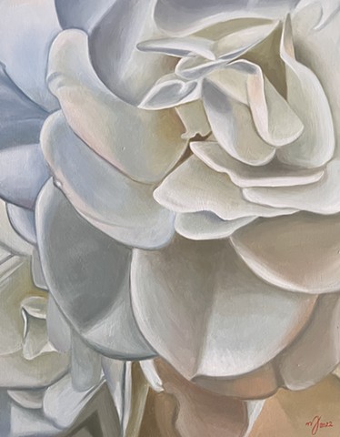 White Rose 