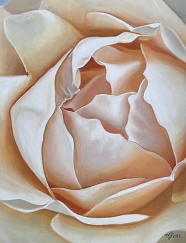 Yellow Rose