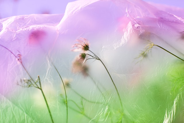 CHARLOTTE WIIG Photography